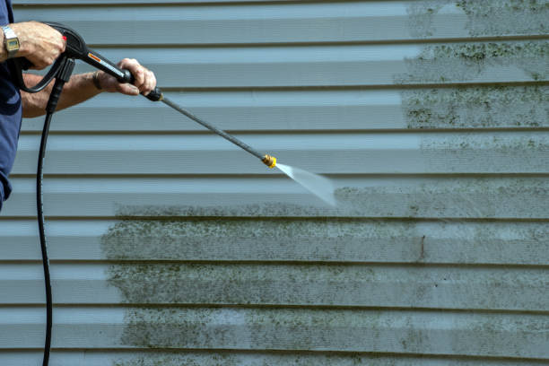 Best Driveway Cleaning and Restoration in Port Neches, TX