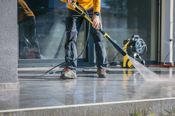 Best Roof Cleaning and Mildew Removal in Port Neches, TX